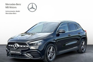 SalonPL AMG Kamera LED Klimatyzacja AUT. Alu 19 ASO VAT